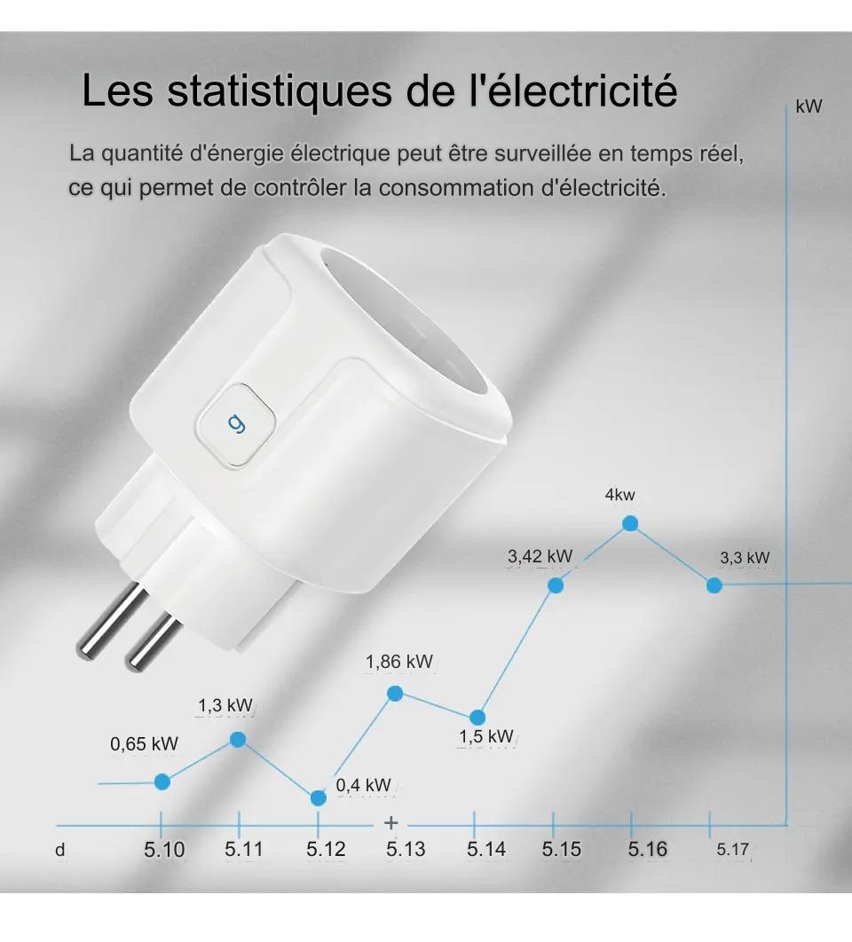 Prise intelligente WiFi 16A/20A - Contrôle vocal, programmation, surveillance de la consommation