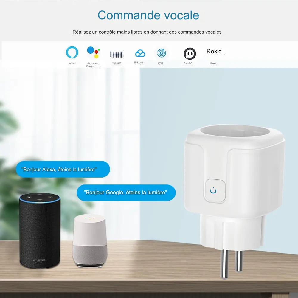 Prise intelligente WiFi 16A/20A - Contrôle vocal, programmation, surveillance de la consommation