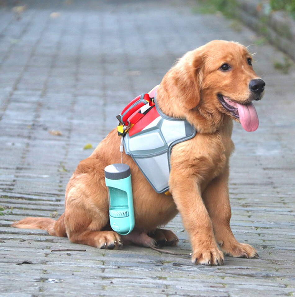 Bouteille d’Eau Portative pour Chien, Chat avec Filtre